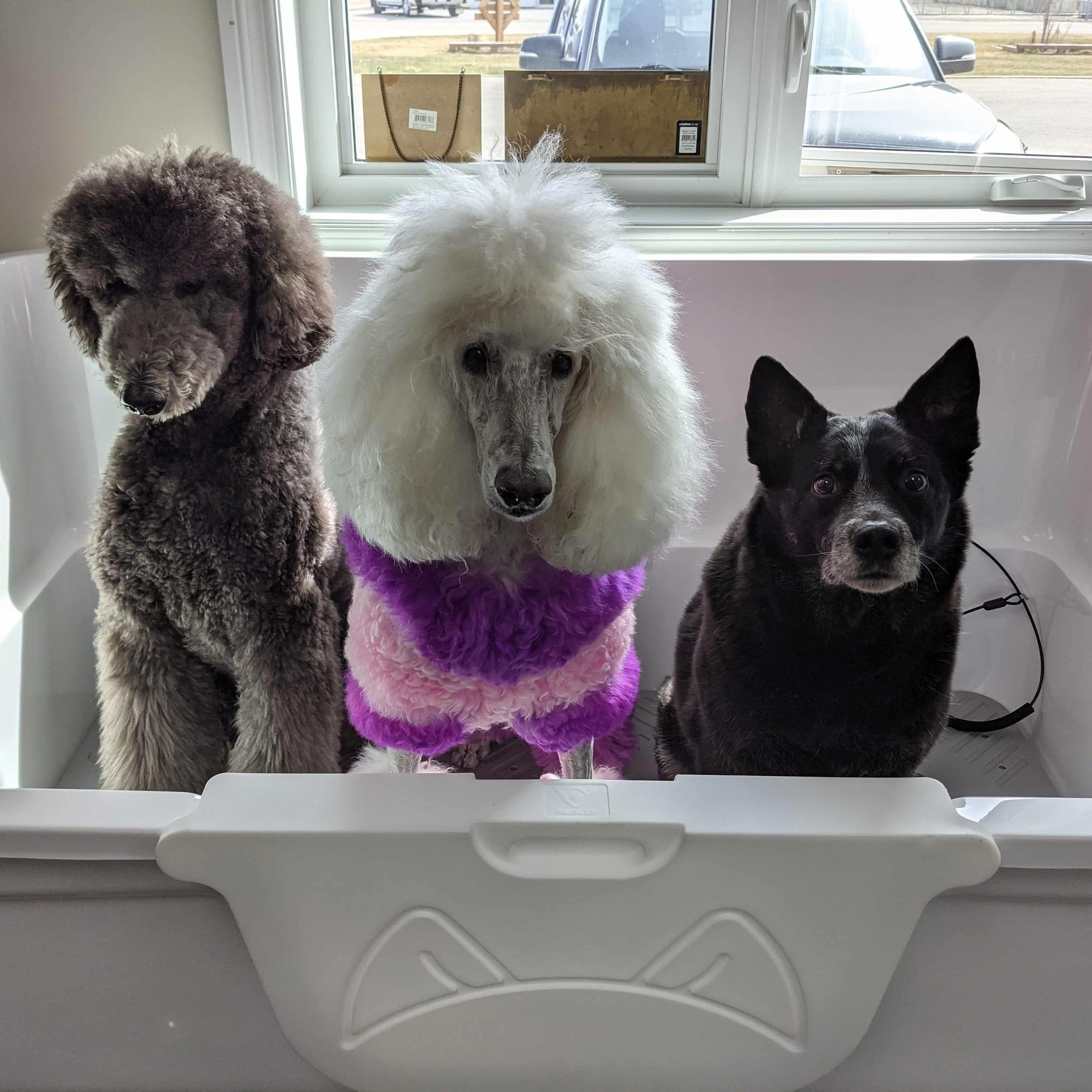 X-Large Electric Acrylic Tub