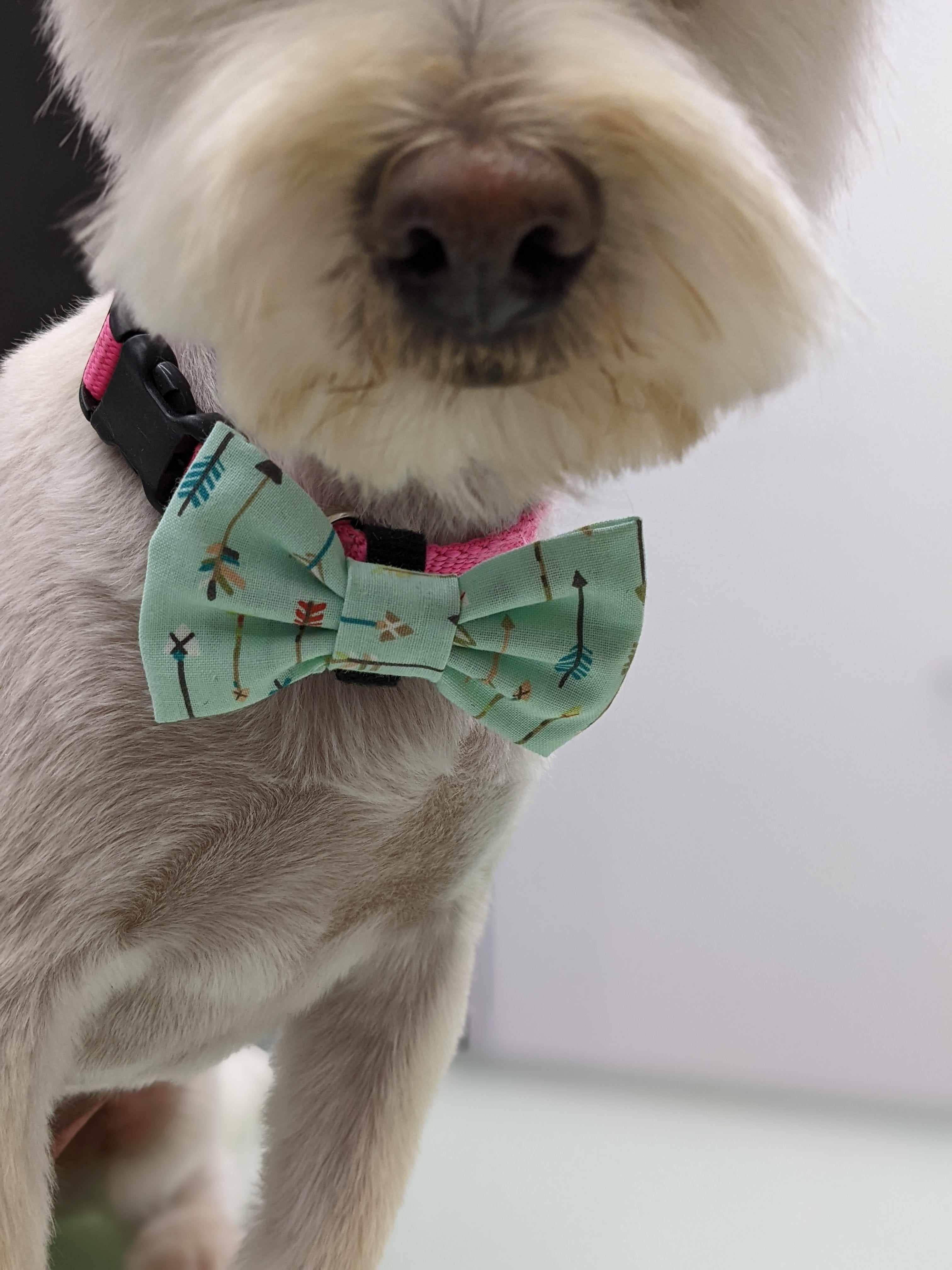 Bespoke Collar Blossoms & Bowties
