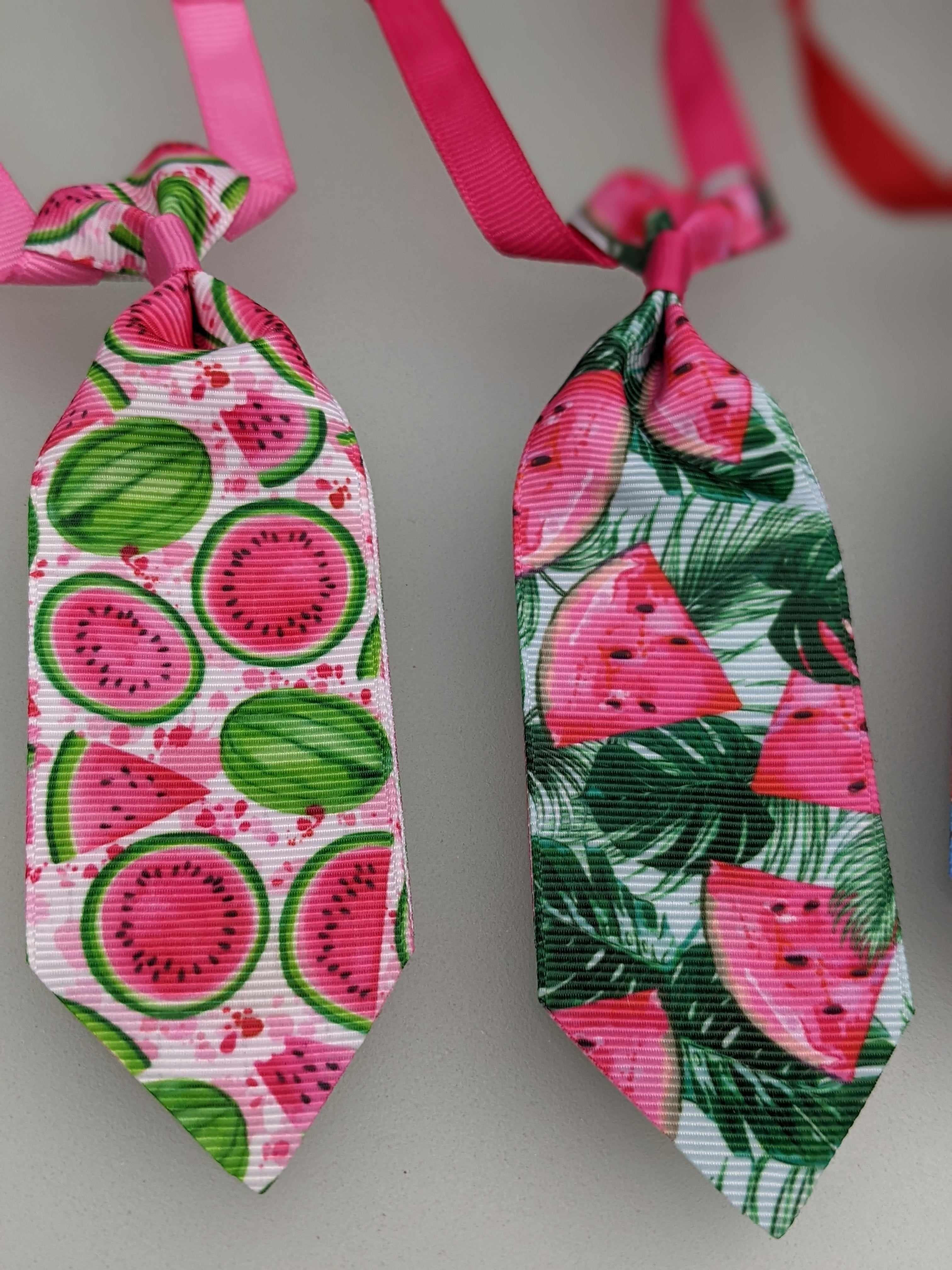 Summertime Fun Neckties