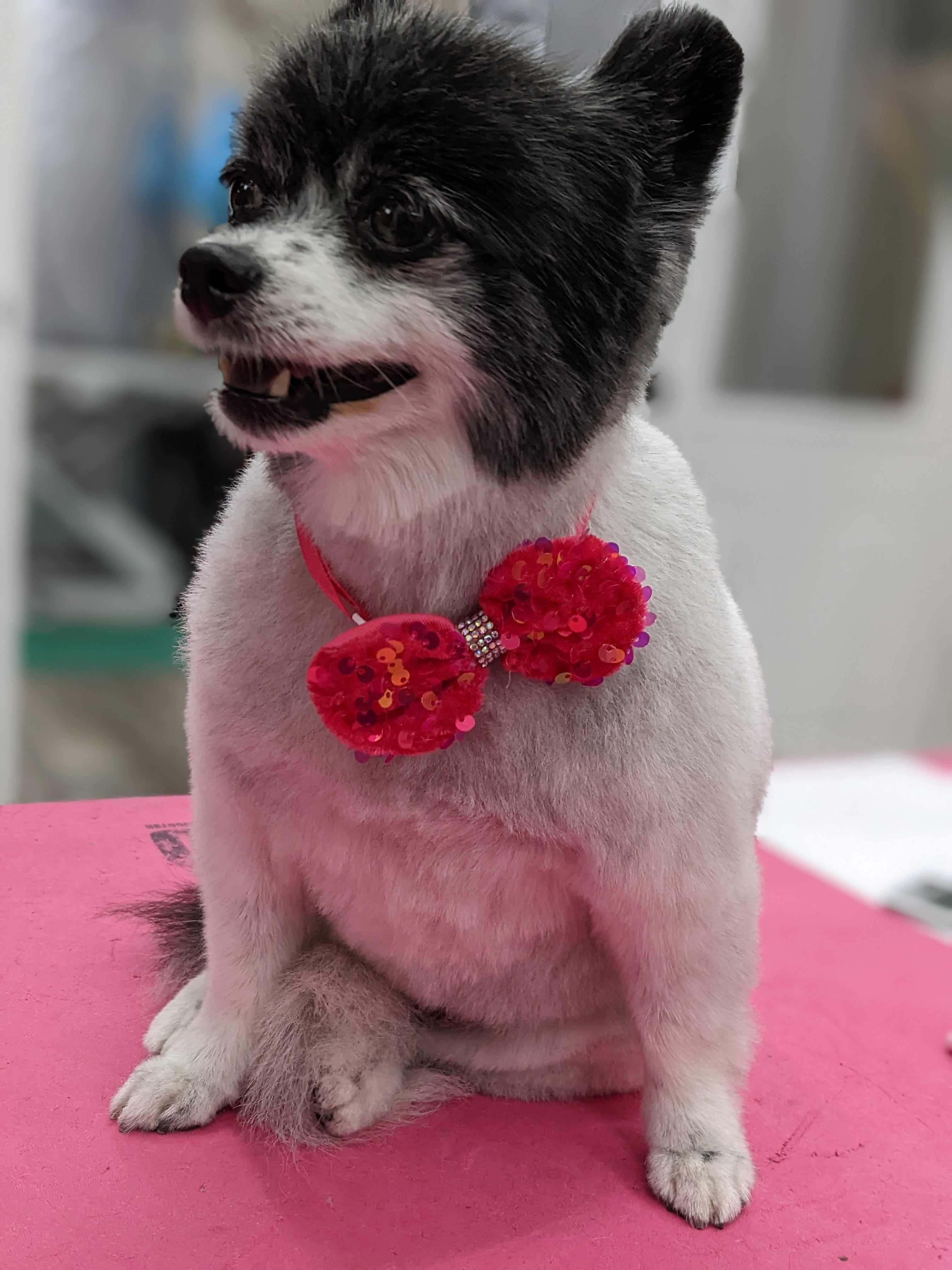 Sequins & Bling Bowties