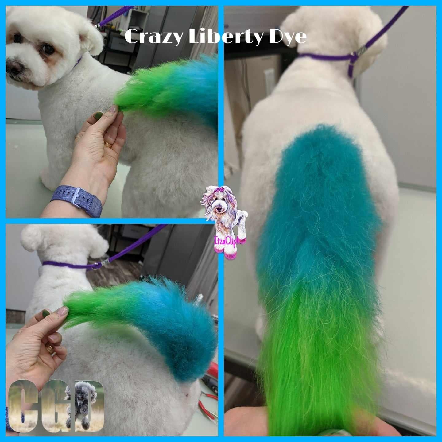 Crazy Liberty Dye