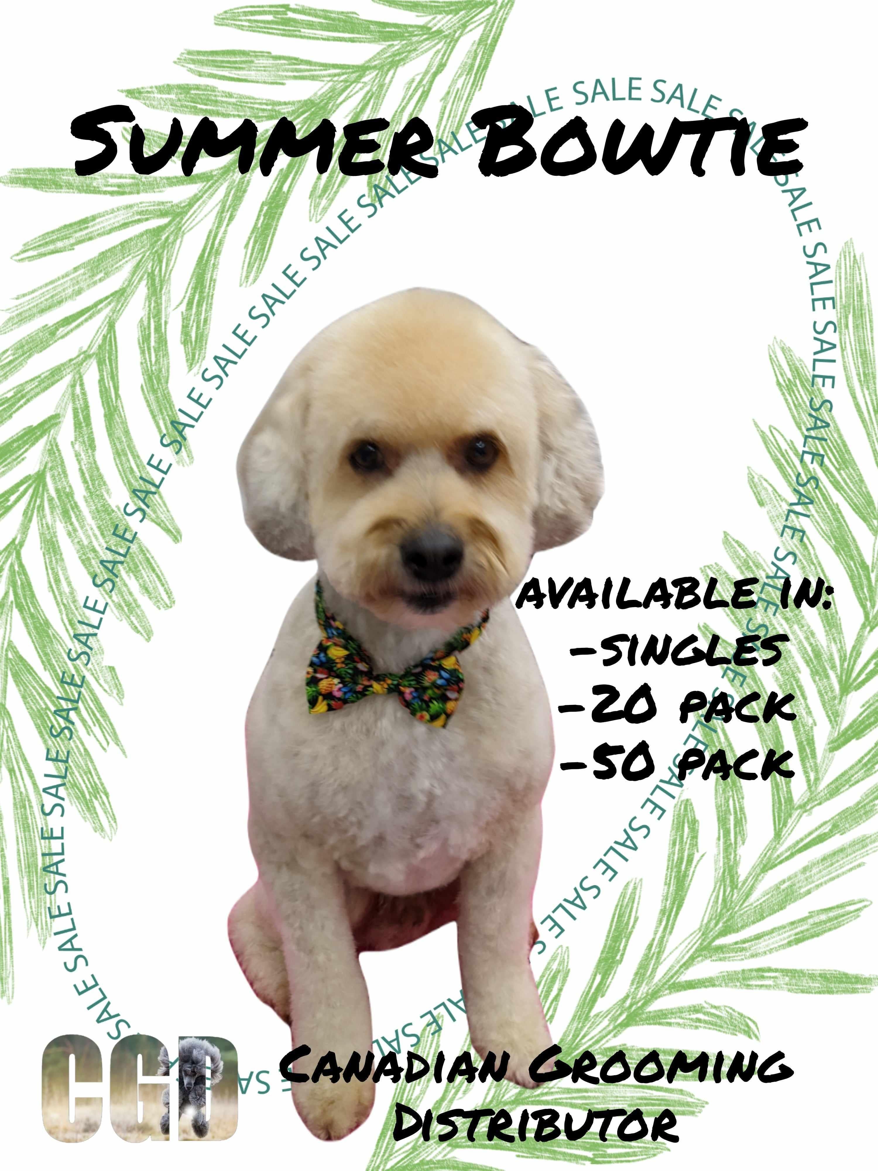 Summertime Fun Bowties