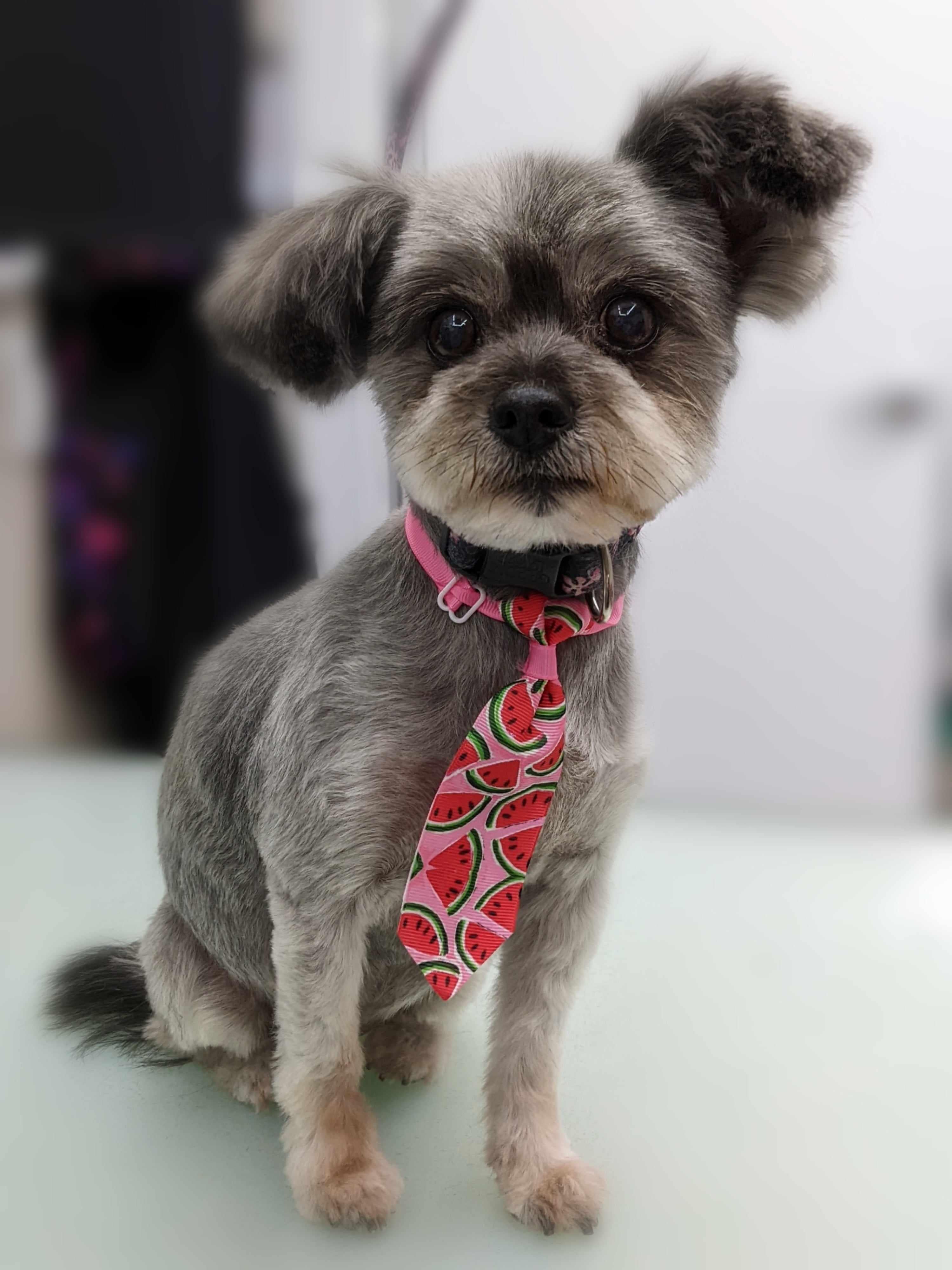 Summertime Fun Neckties