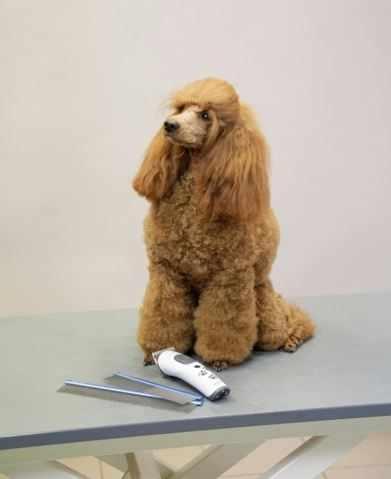 Aesculap Aluminum Combs