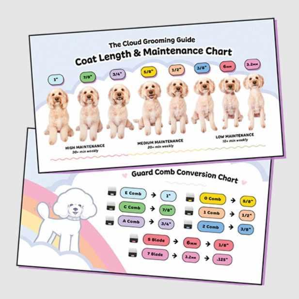 Cloud Grooming Guide