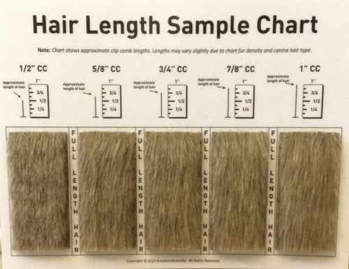 Hair length Chart