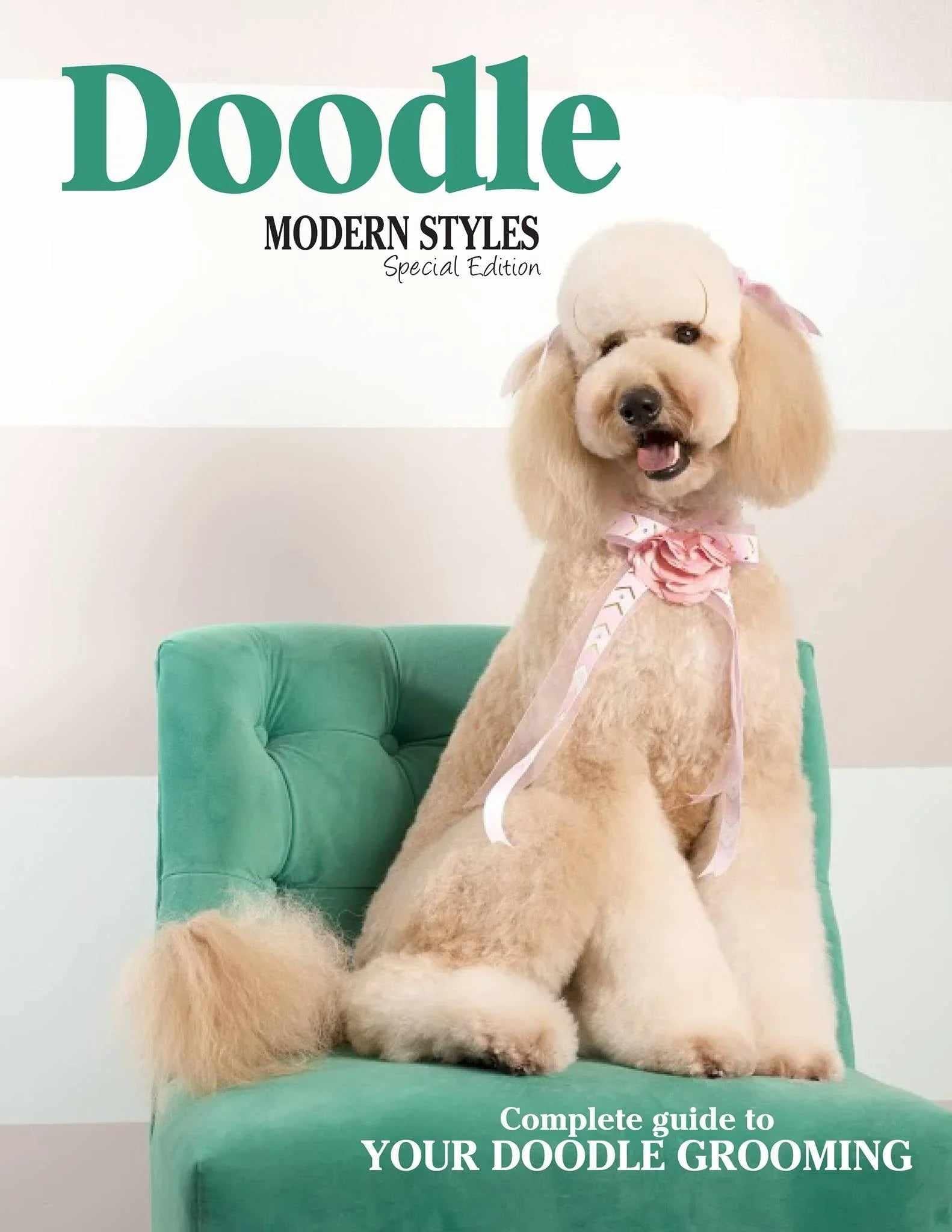 Modern Styles Around The World Magazine & DVD- by Olga Zabelinskaya