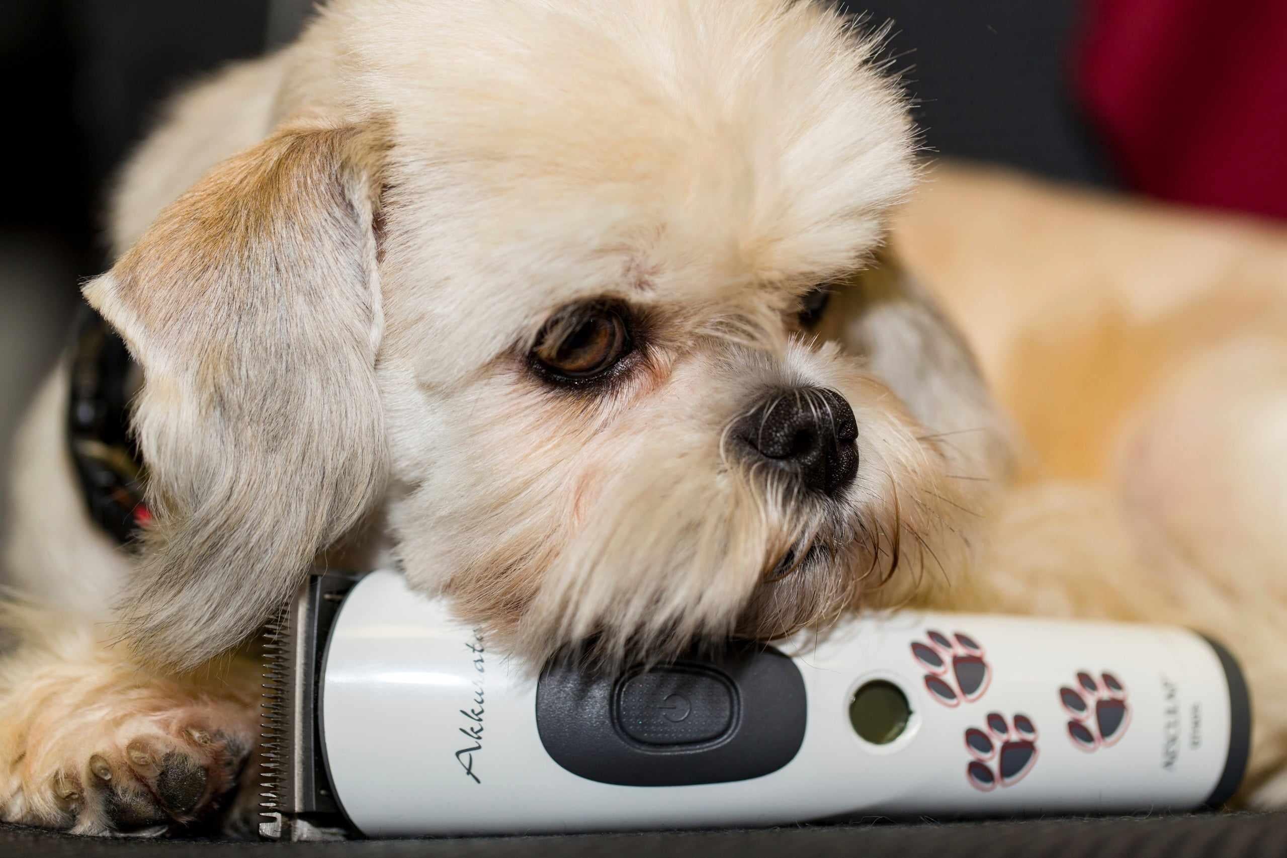 Aesculap Akkurata Cordless