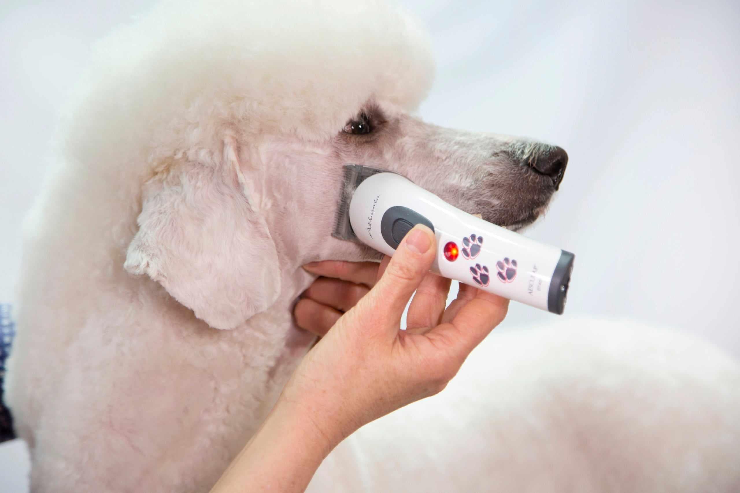 Aesculap Akkurata Cordless