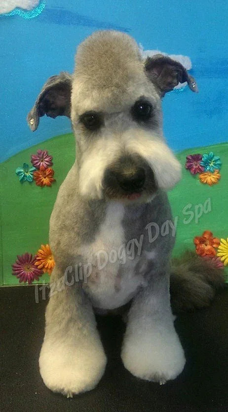 Flared Legs- How to do it- with video