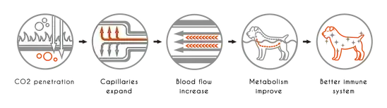 Nagayu Adaptor for Nozzle on garden hose
