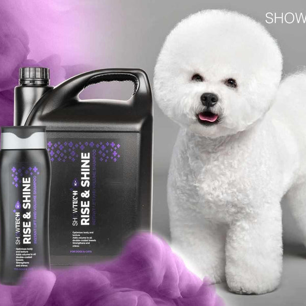 Show Tech+ Rise & Shine Volume Shampoo