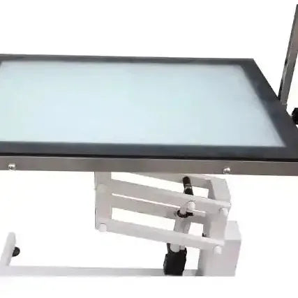 LED Medium BackLit Table