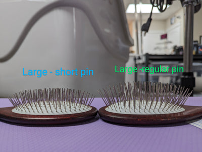 Show Tech Maxi Pin Brush - Large regular pin