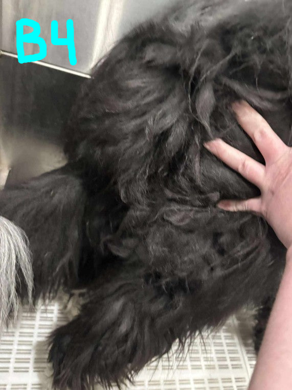 Spray démêlant et finition Hydra