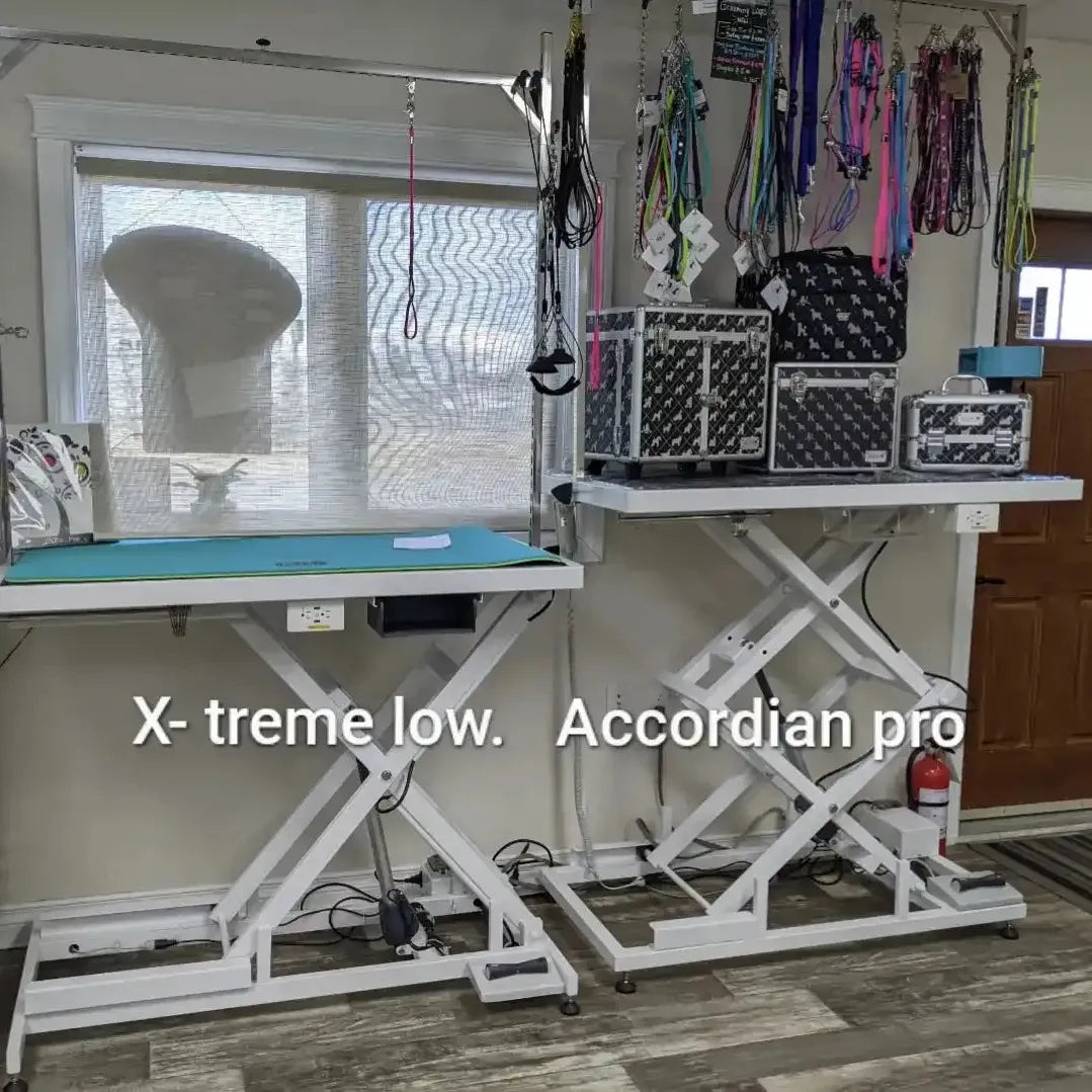 Accordion Pro Table