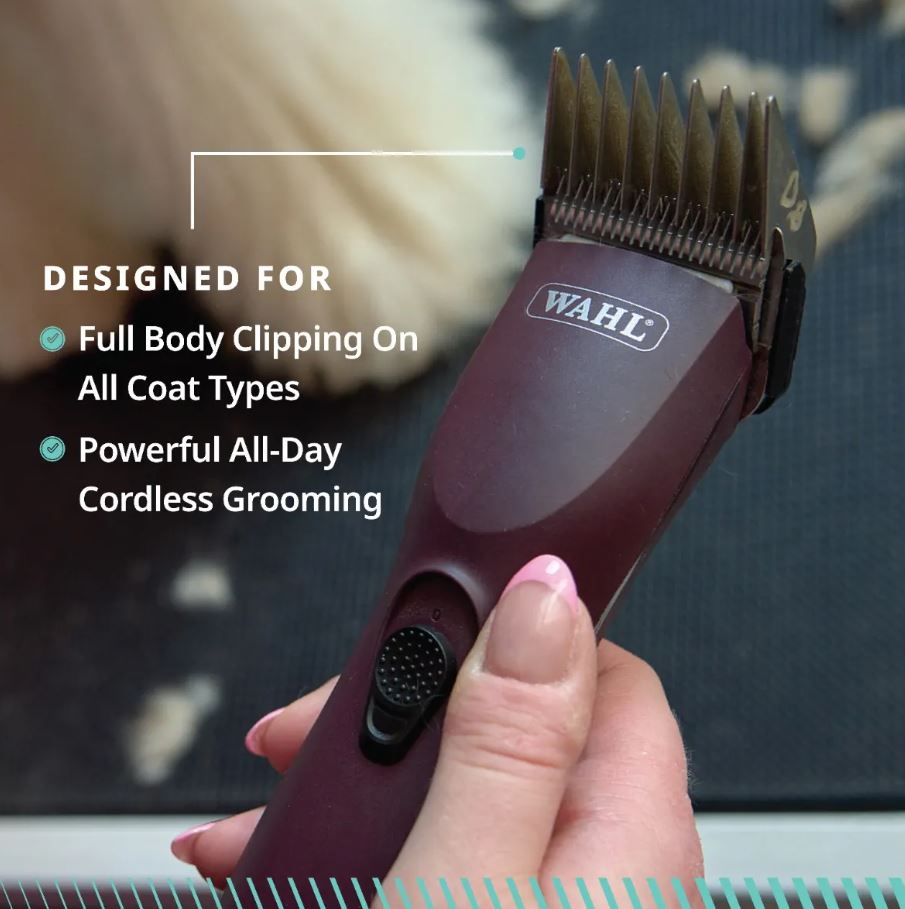 Wahl KM Supera