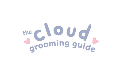 Guide de préparation du cloud