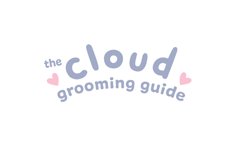 Cloud Grooming Guide