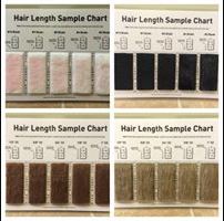 Hair length Chart