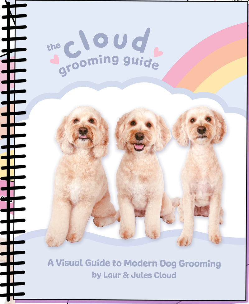 Cloud Grooming Guide
