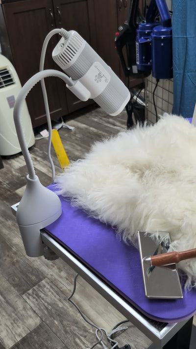 CLAMP for Neck Breeze Fluff Dryer