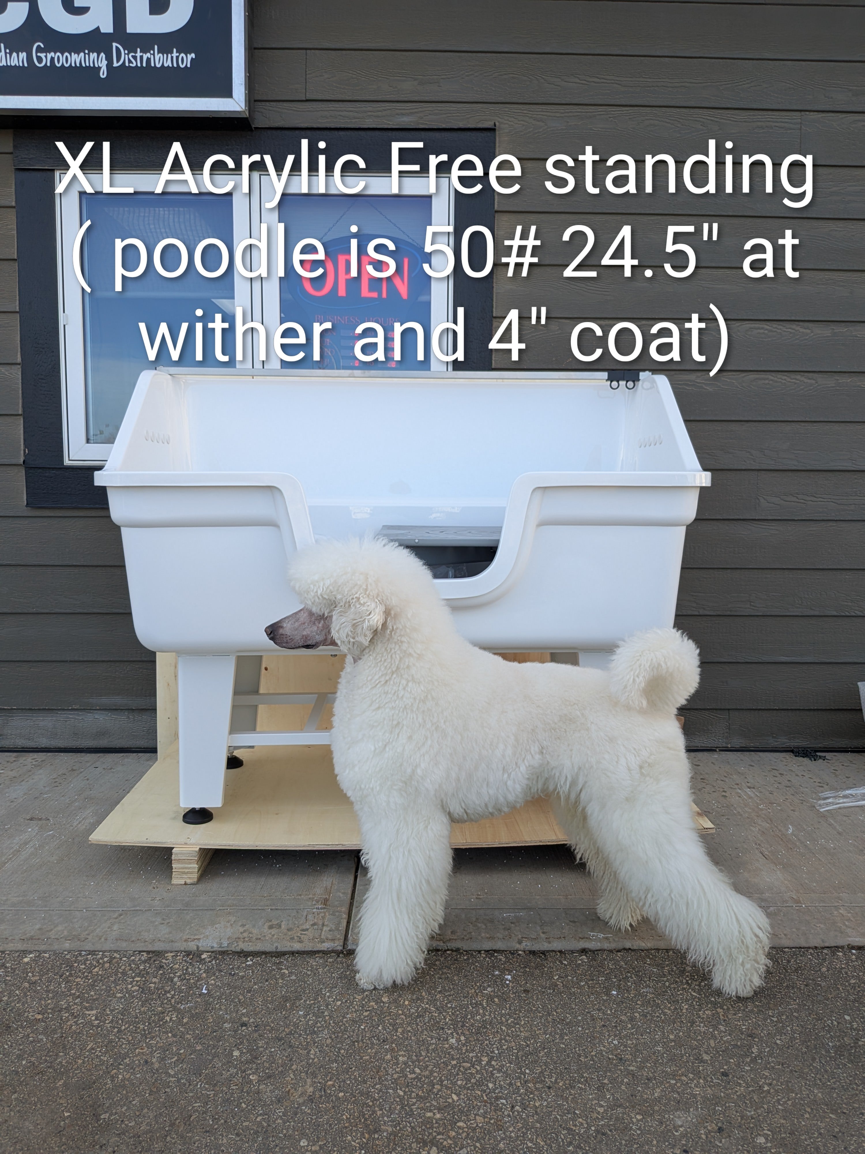 Grande baignoire électrique en acrylique