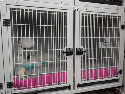 White Groomers Cage Large