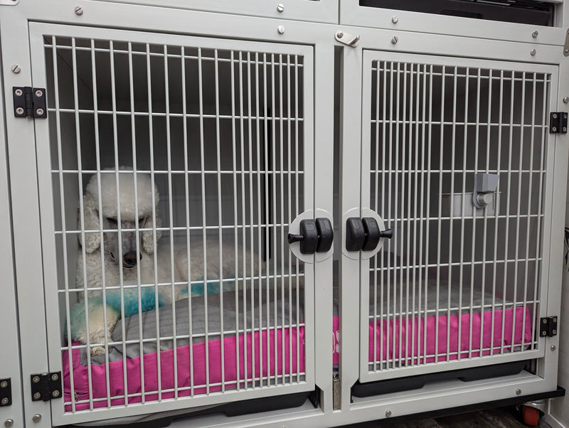 White Groomers Cage Large