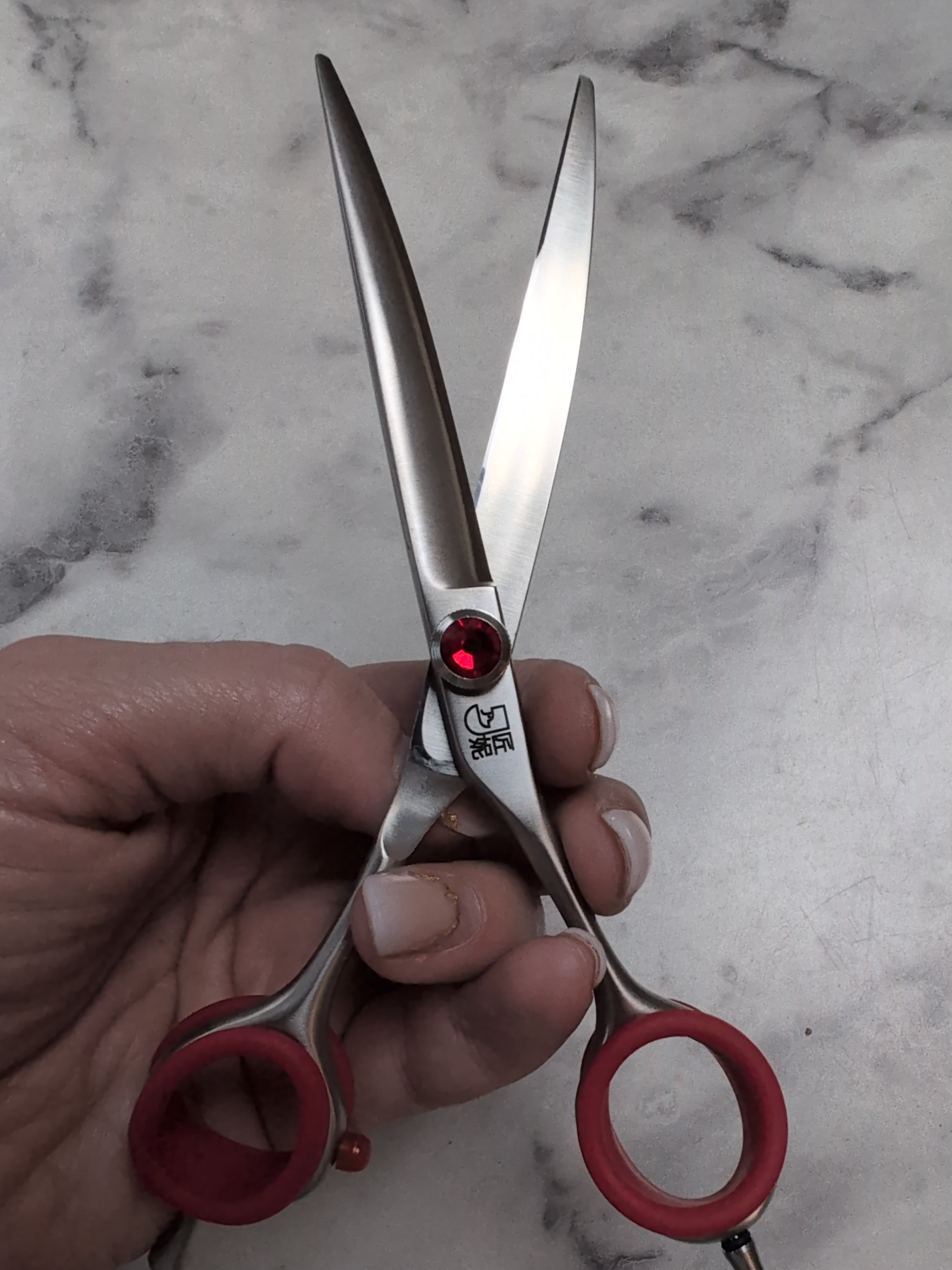 Freehand Detailer curves