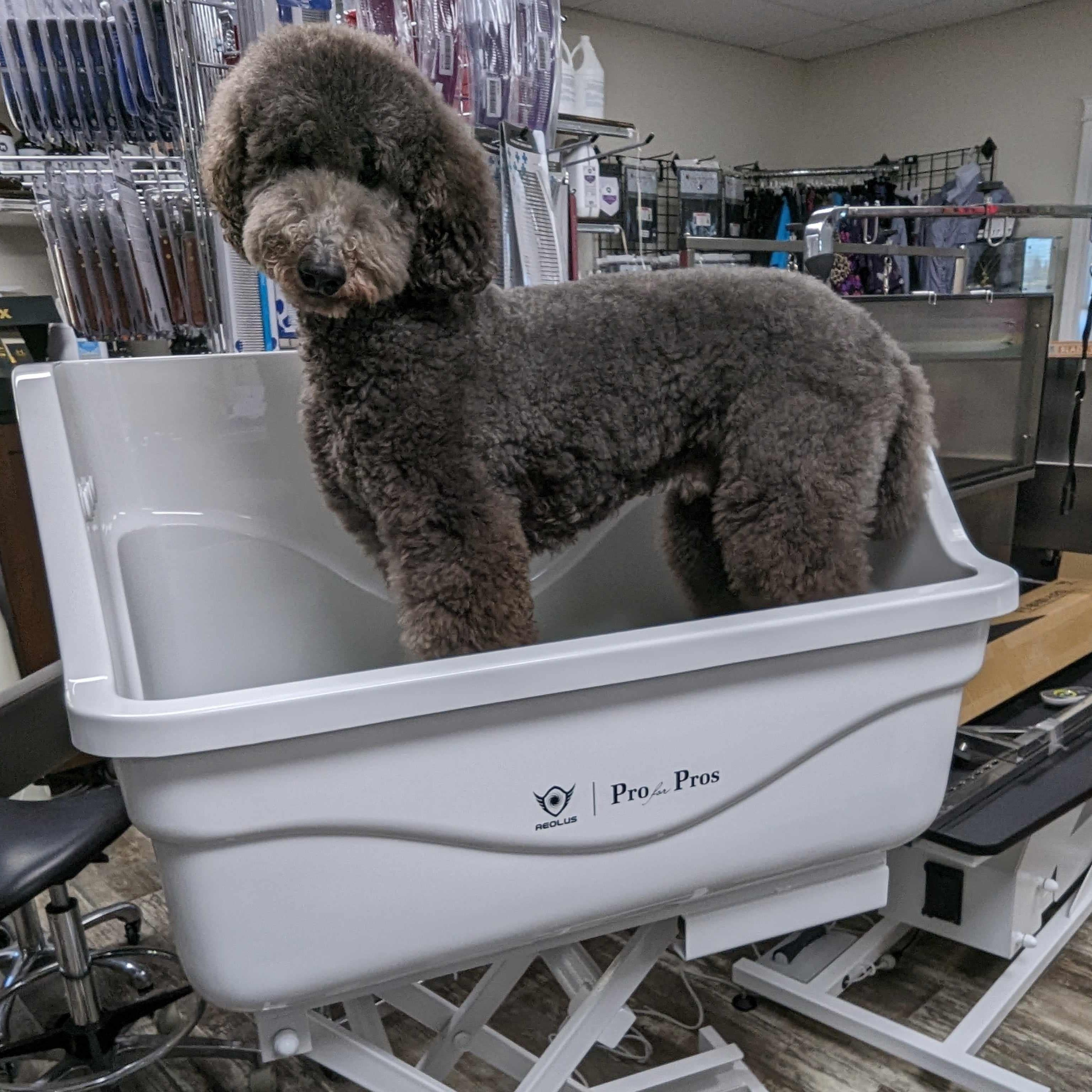 Medium Electric Acrylic Tub