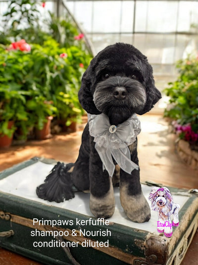 Primpaws Kerfuffle Shampoo