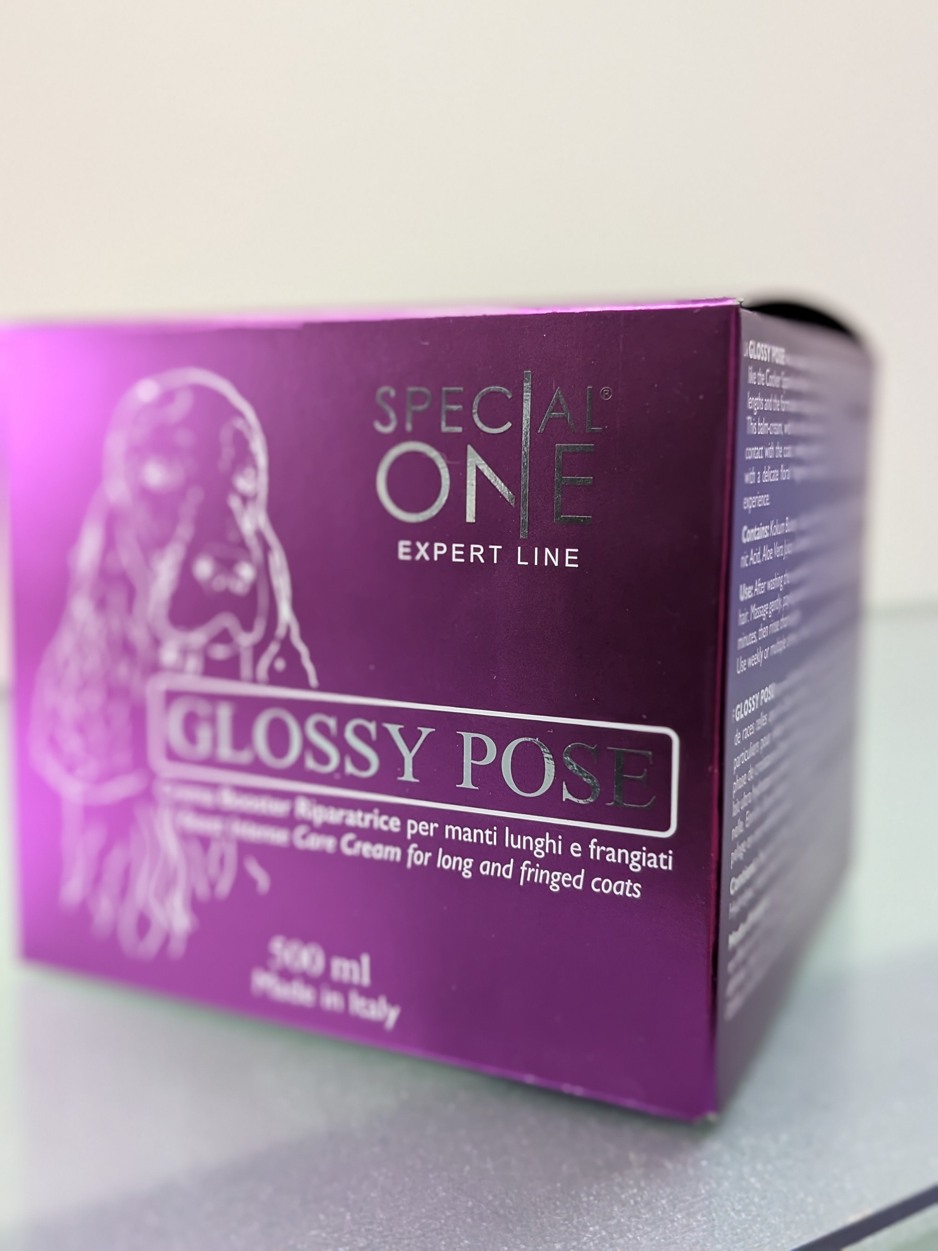 Glossy Pose