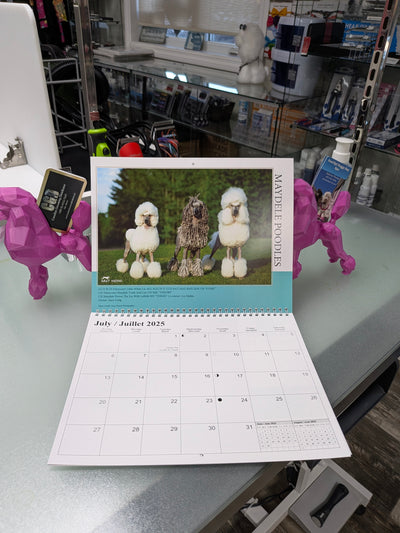 Poodle Club of Canada calendar 2025