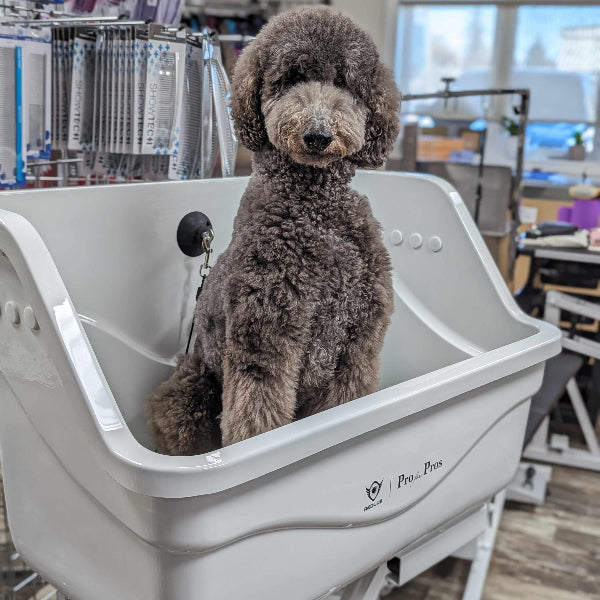 Medium Electric Acrylic Tub