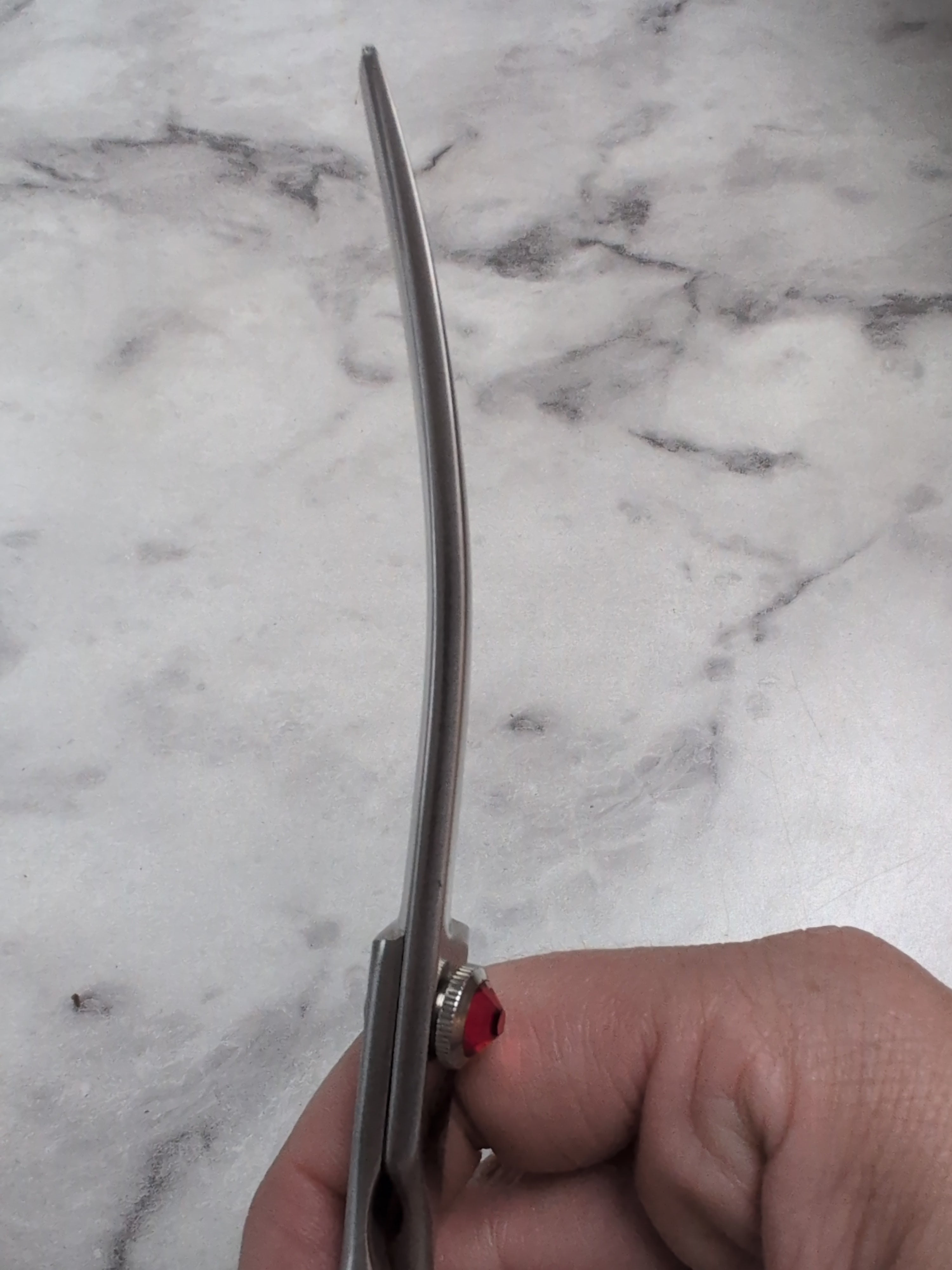 Freehand Detailer curves