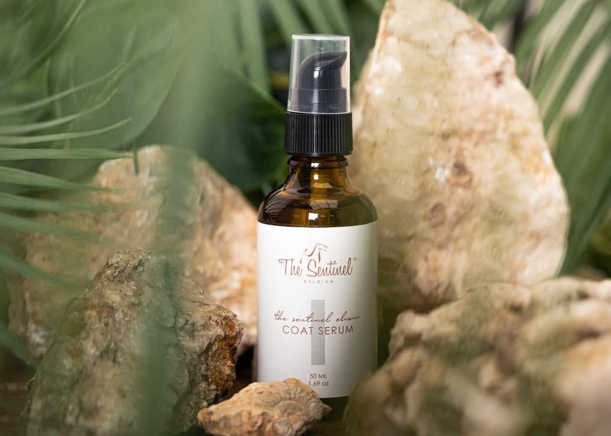 Sentinel Coat The Sentinel Coat Serum