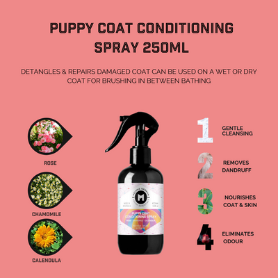 MN Puppy Conditioning Spray