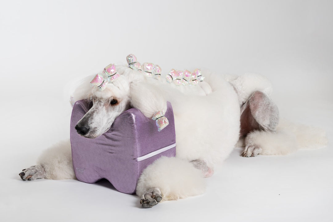 Topknot Cushion Glitzy Purple Canadian Grooming Distributor
