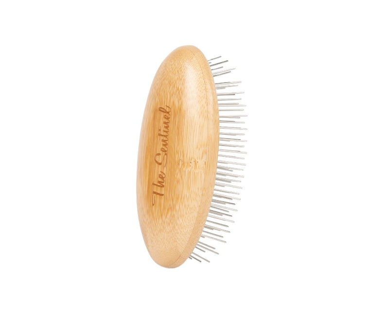 The Sentinel T31 Eco STYLE Palm Brush