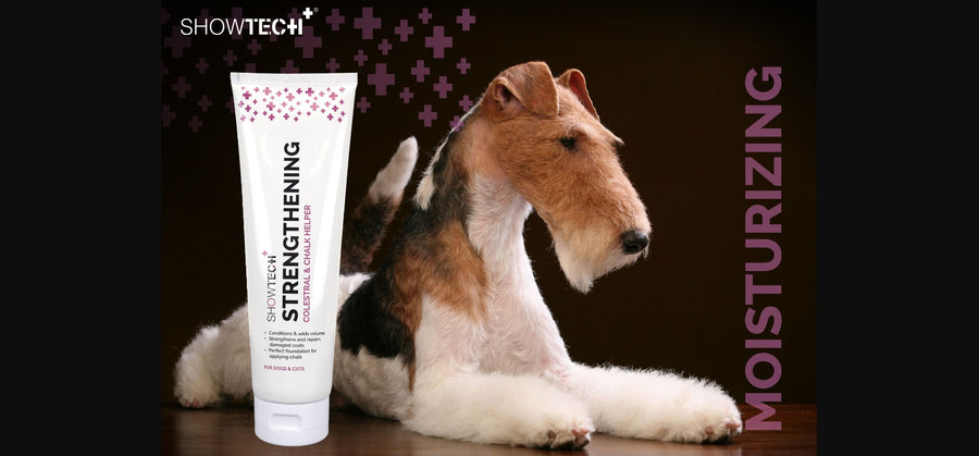 Fox terrier stripping sale
