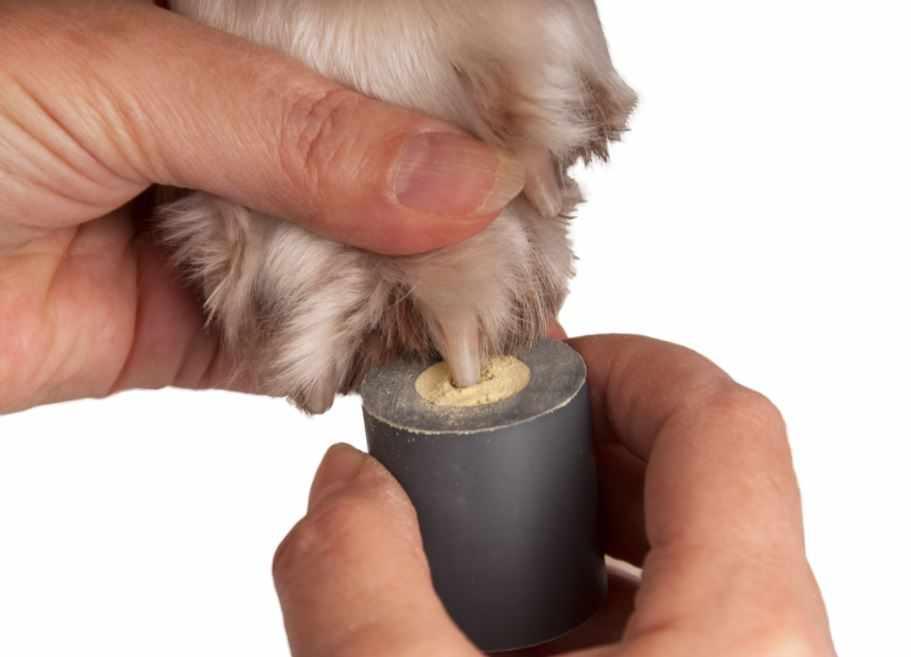 Stypic Powder holder - Main Image