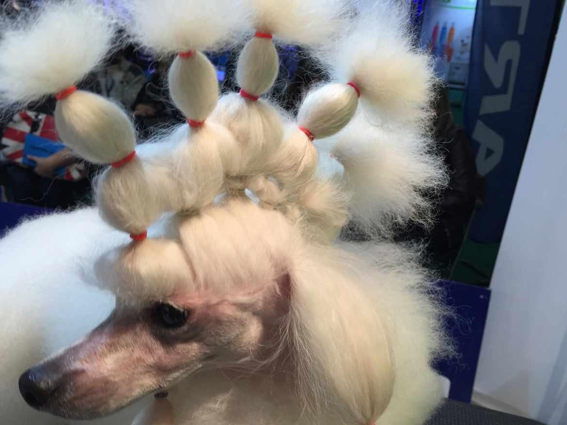 Latex Wrapping bands