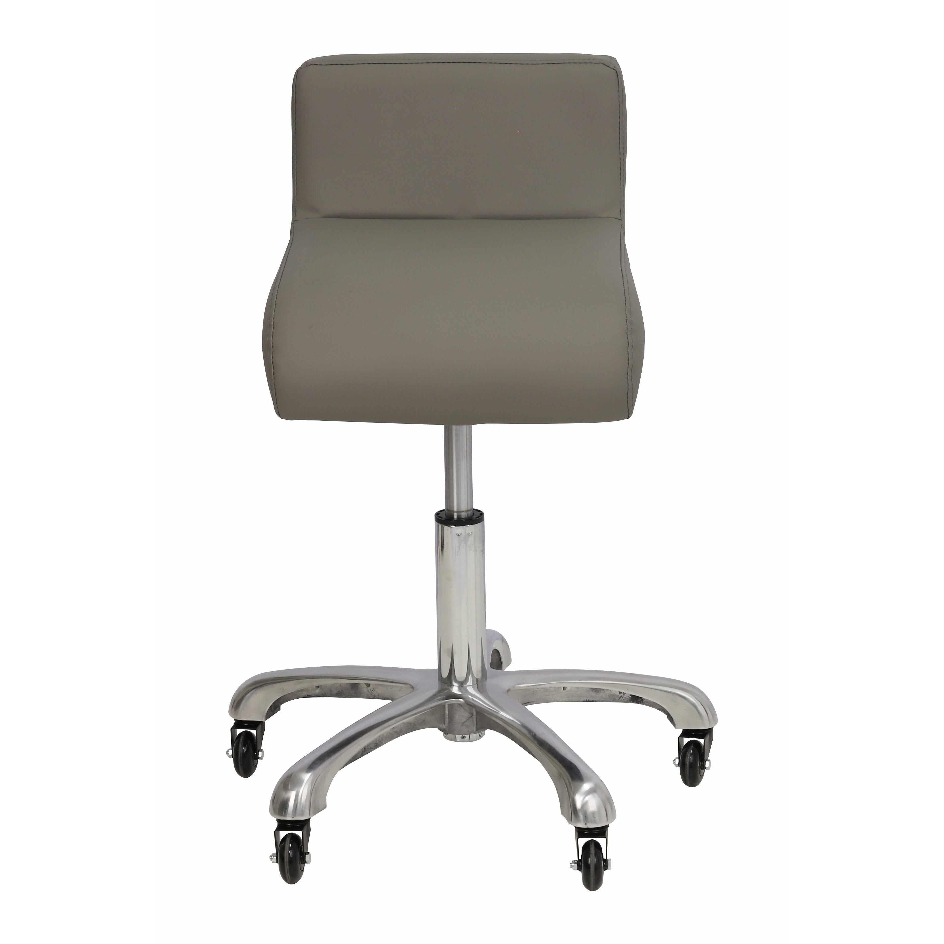 Modern Grooming chair with waist support