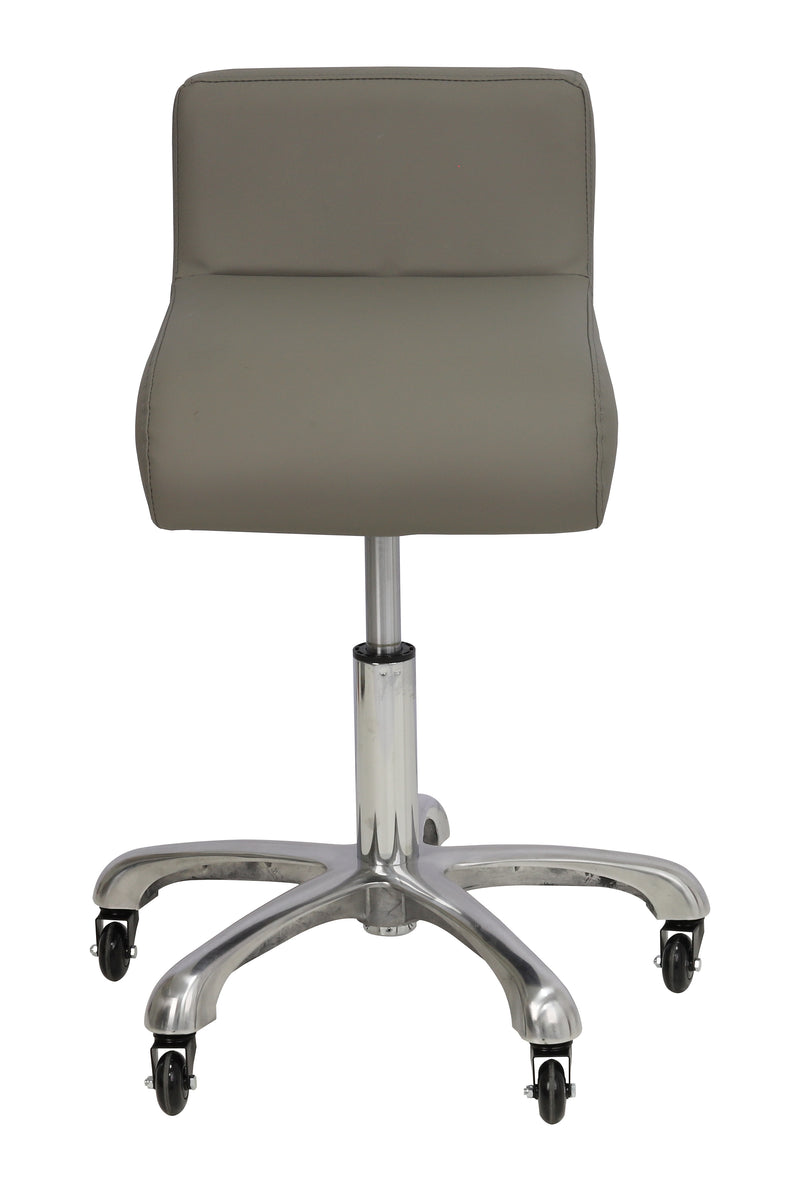 Modern Grooming chair with waist support