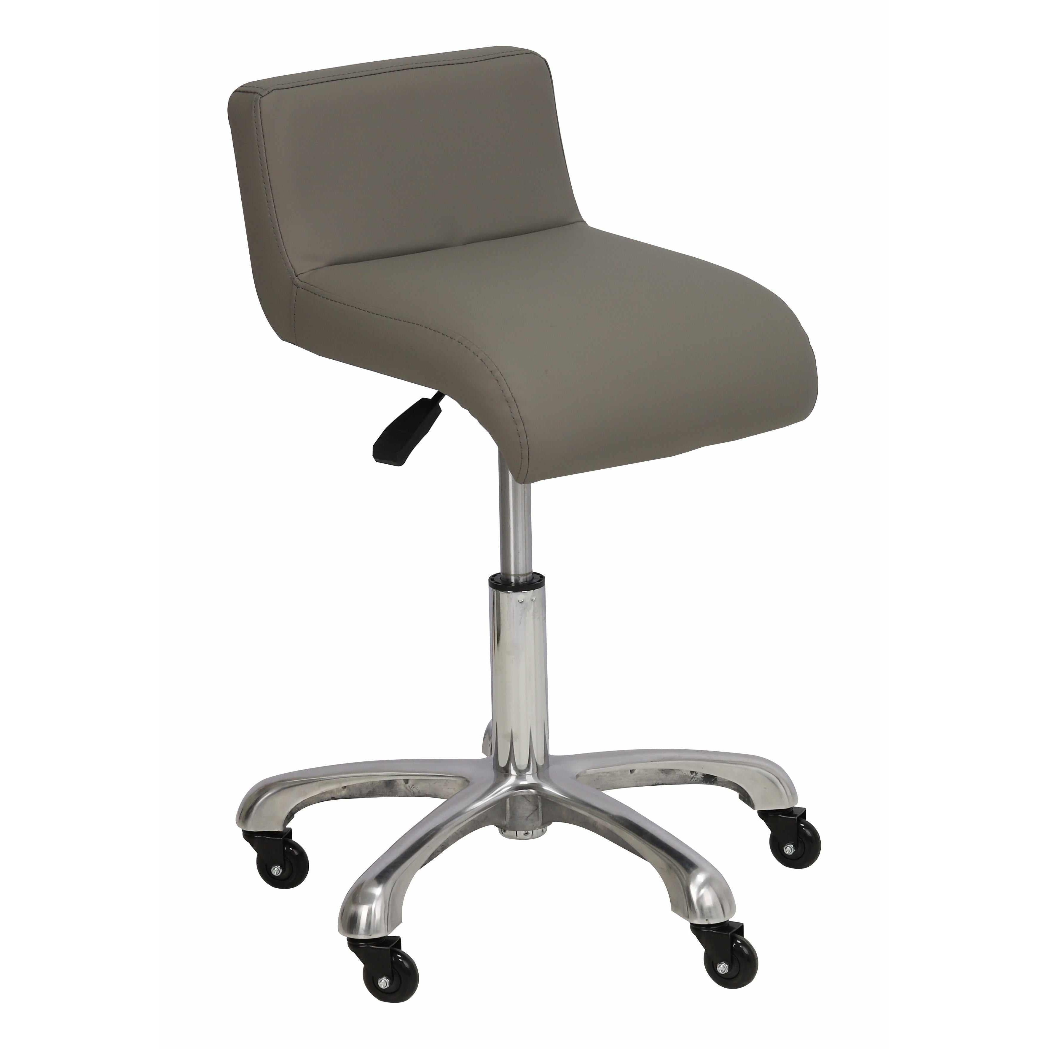 Modern Grooming chair with waist support