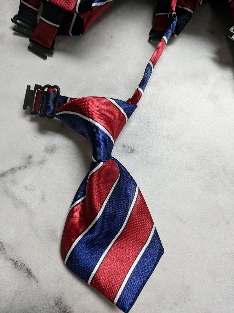 Cravates- Petits motifs
