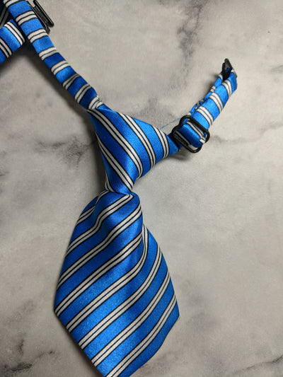 Cravates- Petits motifs