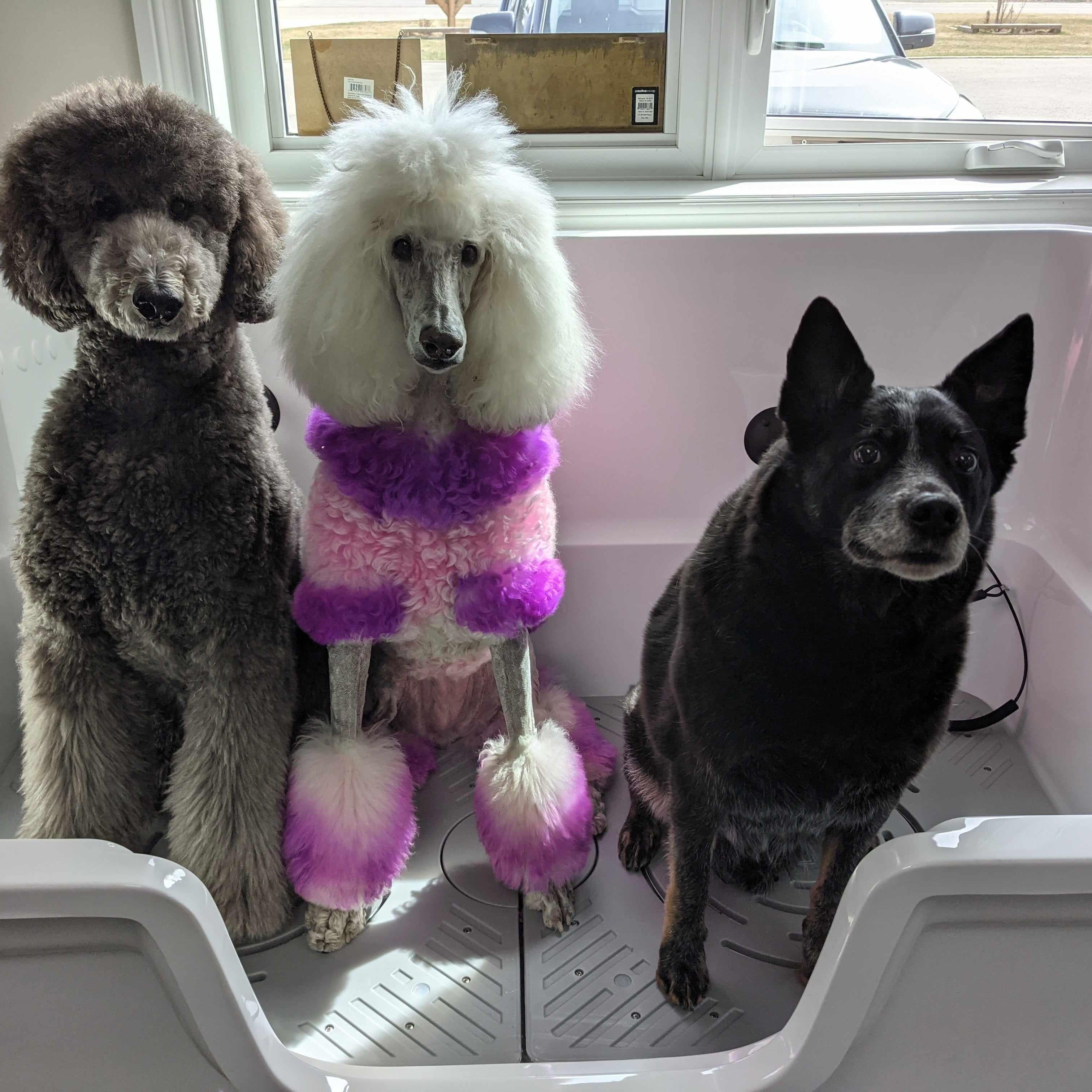 X-Large Electric Acrylic Tub