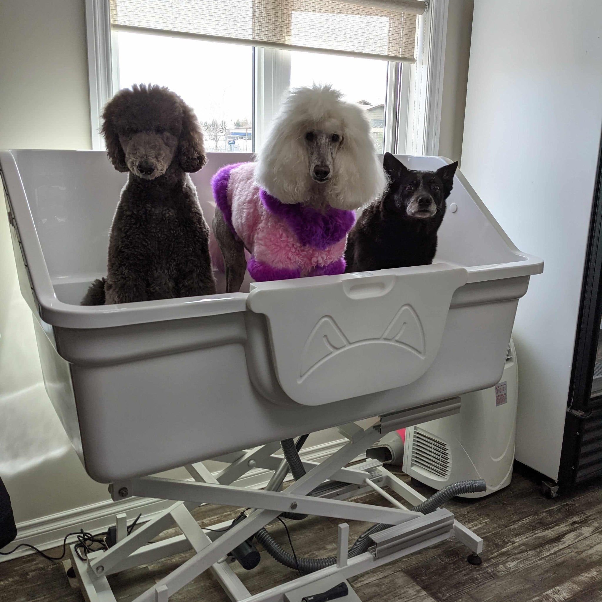 X-Large Electric Acrylic Tub